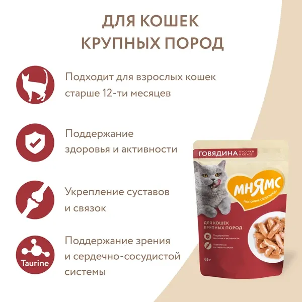 Мнямс для крупных кошек Кусочки в соусе с говядиной