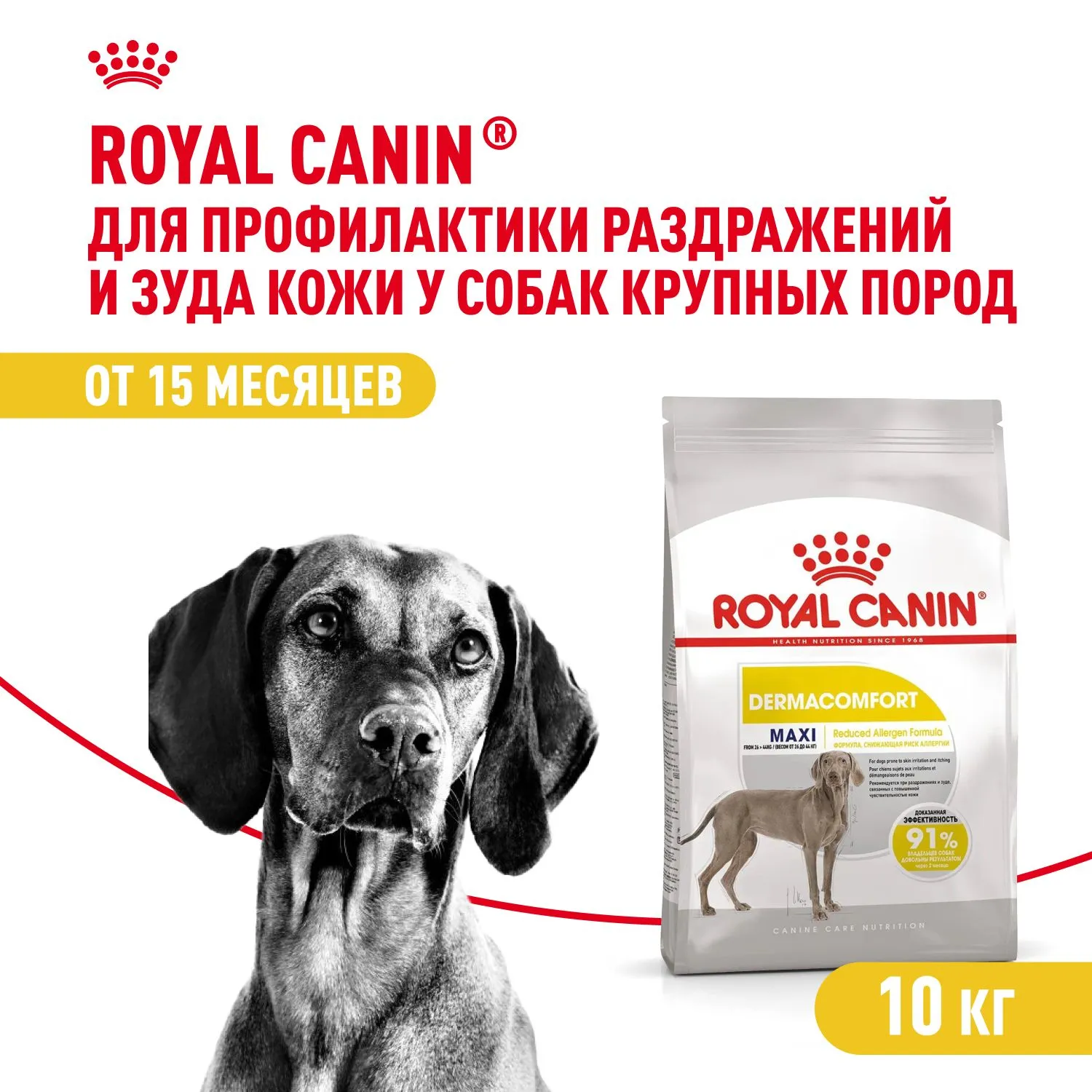 Корм Royal Canin Maxi Dermacomfort для собак