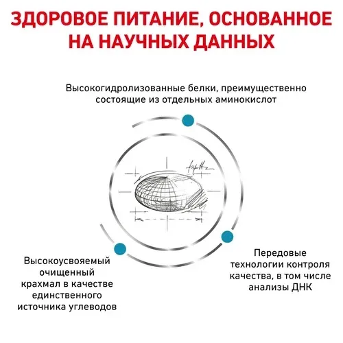 Корм Royal Canin Anallergenic Dog для взрослых собак при пищевой аллергии