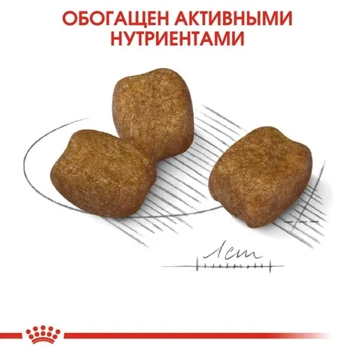 Корм Royal Canin Mini Dental Care для собак
