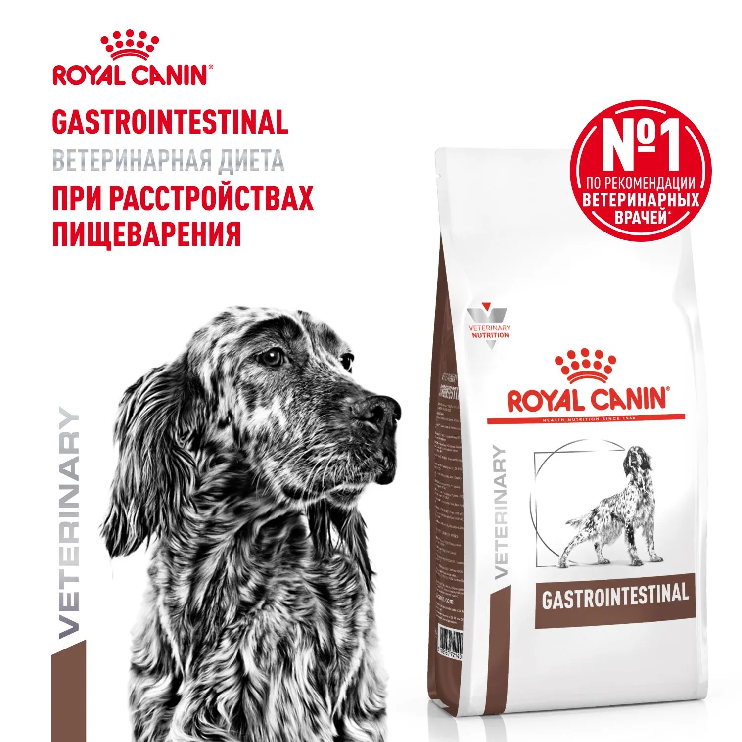 Royal Canin Gastrointestinal Dog