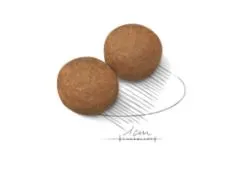 Корм Royal Canin Maxi Adult для взрослых собак крупных размеров