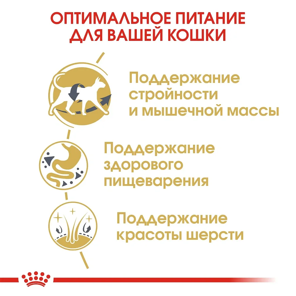 Корм Royal Canin Siamese Adult для кошек