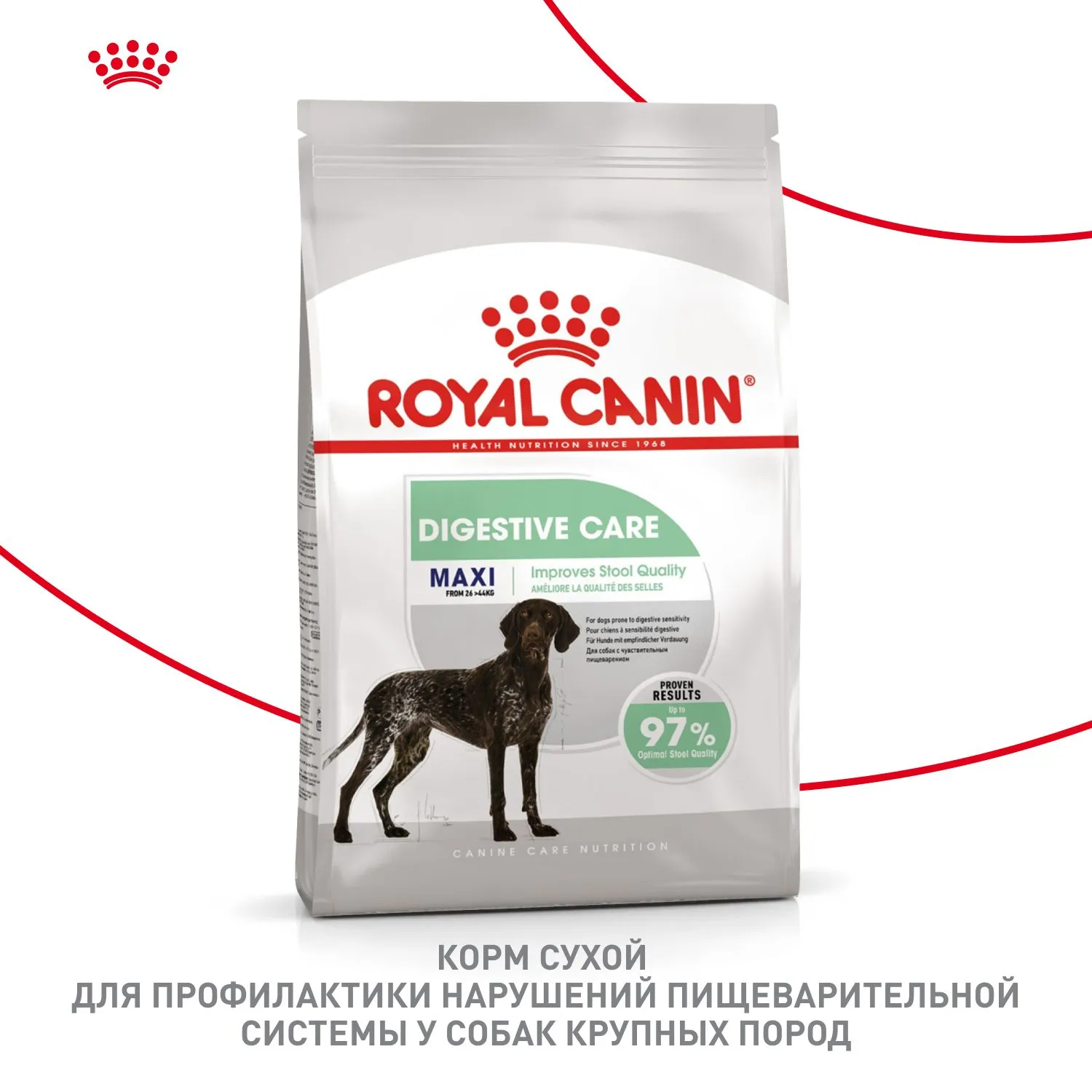 Корм Royal Canin Maxi Digestive Care для собак