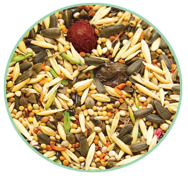 Triol Original Корм для средних попугаев