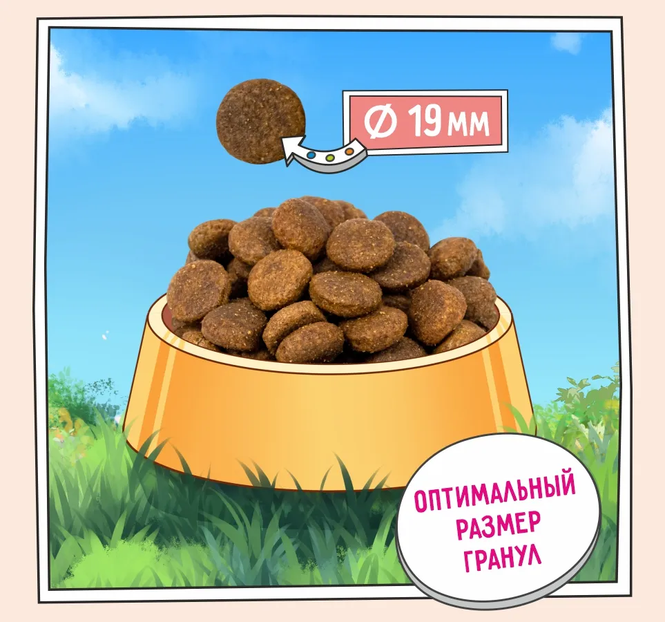 ZILLII Adult Dog Large Breed (Индейка, ягненок)