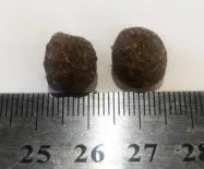 Necon Saporita Senior & Light