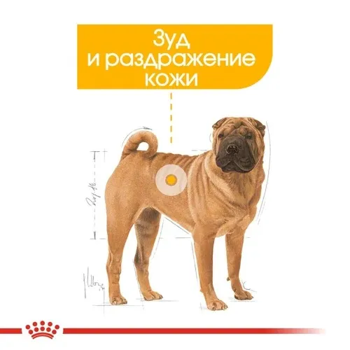 Корм Royal Canin Medium Dermacomfort для собак