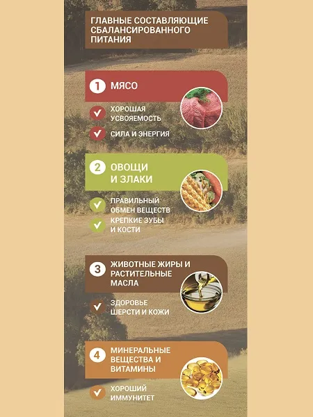 Glance для взрослых кошек с говядиной