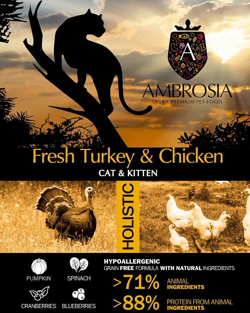 AMBROSIA Cat&Kitten (Индейка, курица)