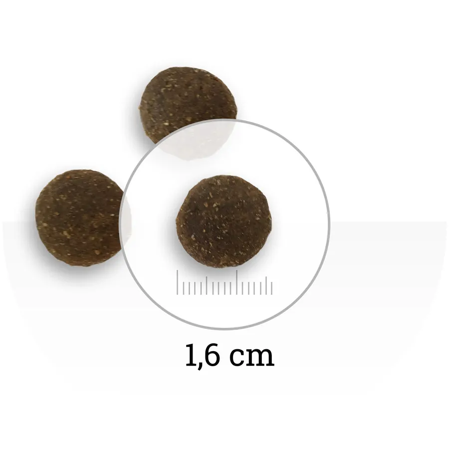 Natura Wild Yukon Lake (Лосось, тунец, индейка)