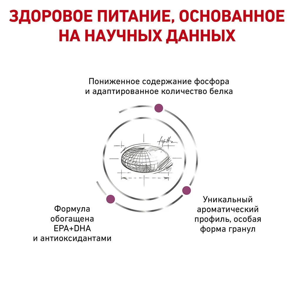 Royal Canin Renal Cat