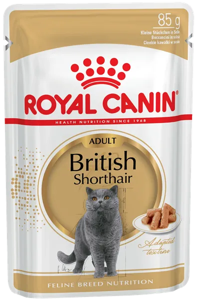 Royal Canin British Shorthair Adult (соус)