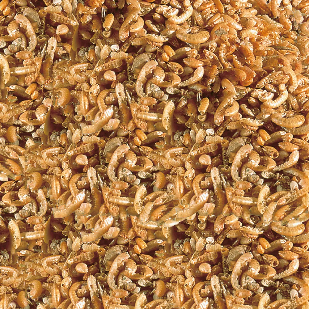 Sera Корм-деликатес для водных черепах "Raffy I"