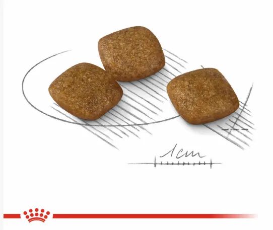 Корм Royal Canin Mini Relax Care для собак