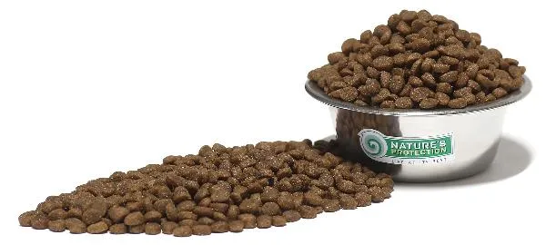 Nature's Protection White Cat