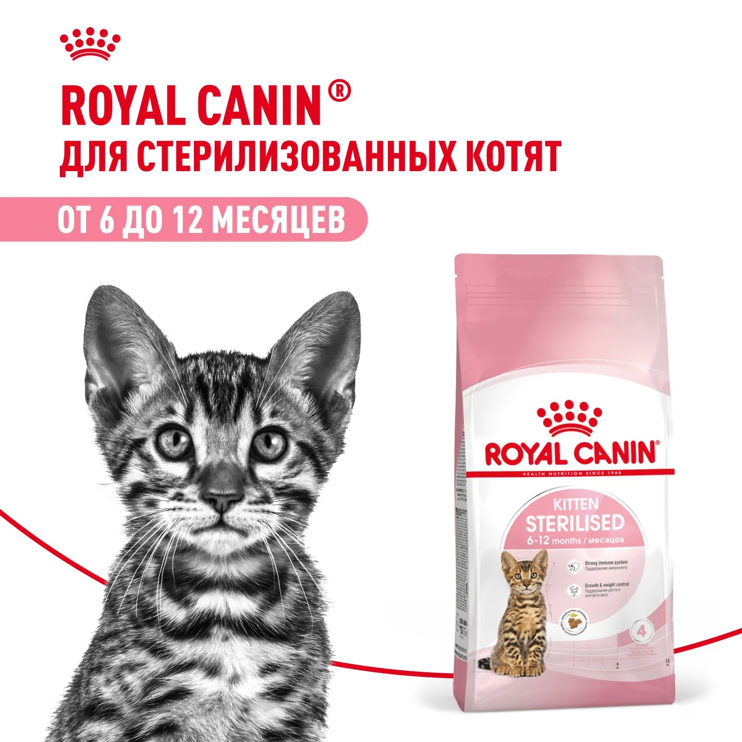 Корм Royal Canin Kitten Sterilised для котят