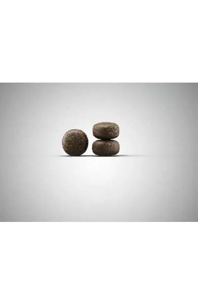 Josera Light & Vital Adult