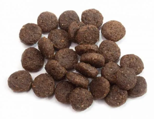 Happy Dog Sensible Karibik