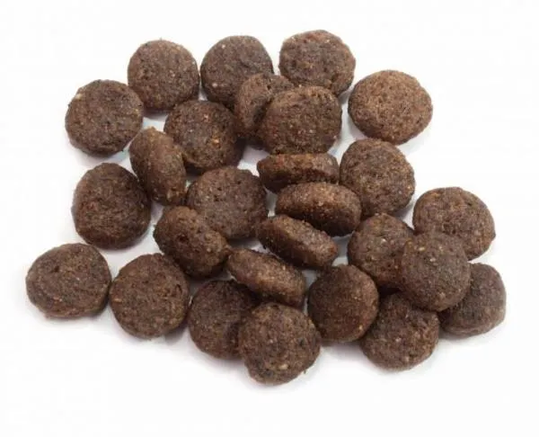 Happy Dog Sensible France