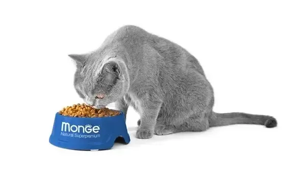 Monge VetSolution Gastrointestinal Cat ветеринарный корм для кошек