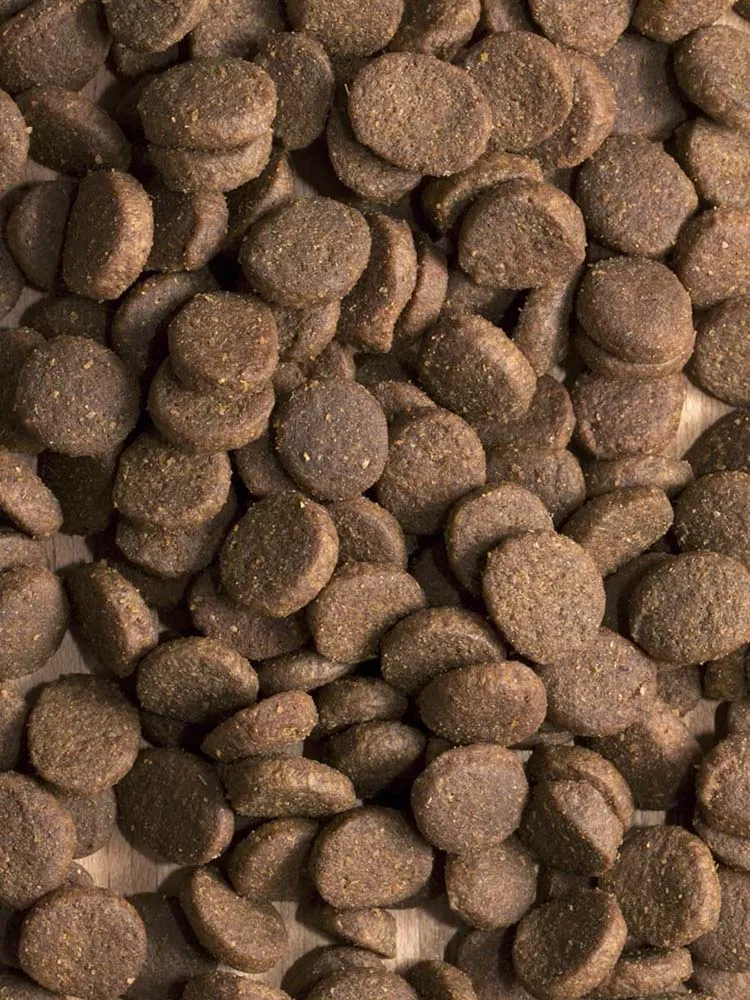 ProBalance Dog Immuno Adult Maxi