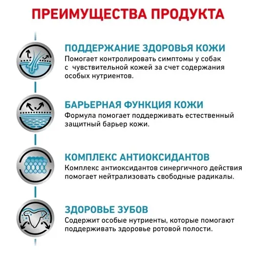 Royal Canin Skin Care Small Dog