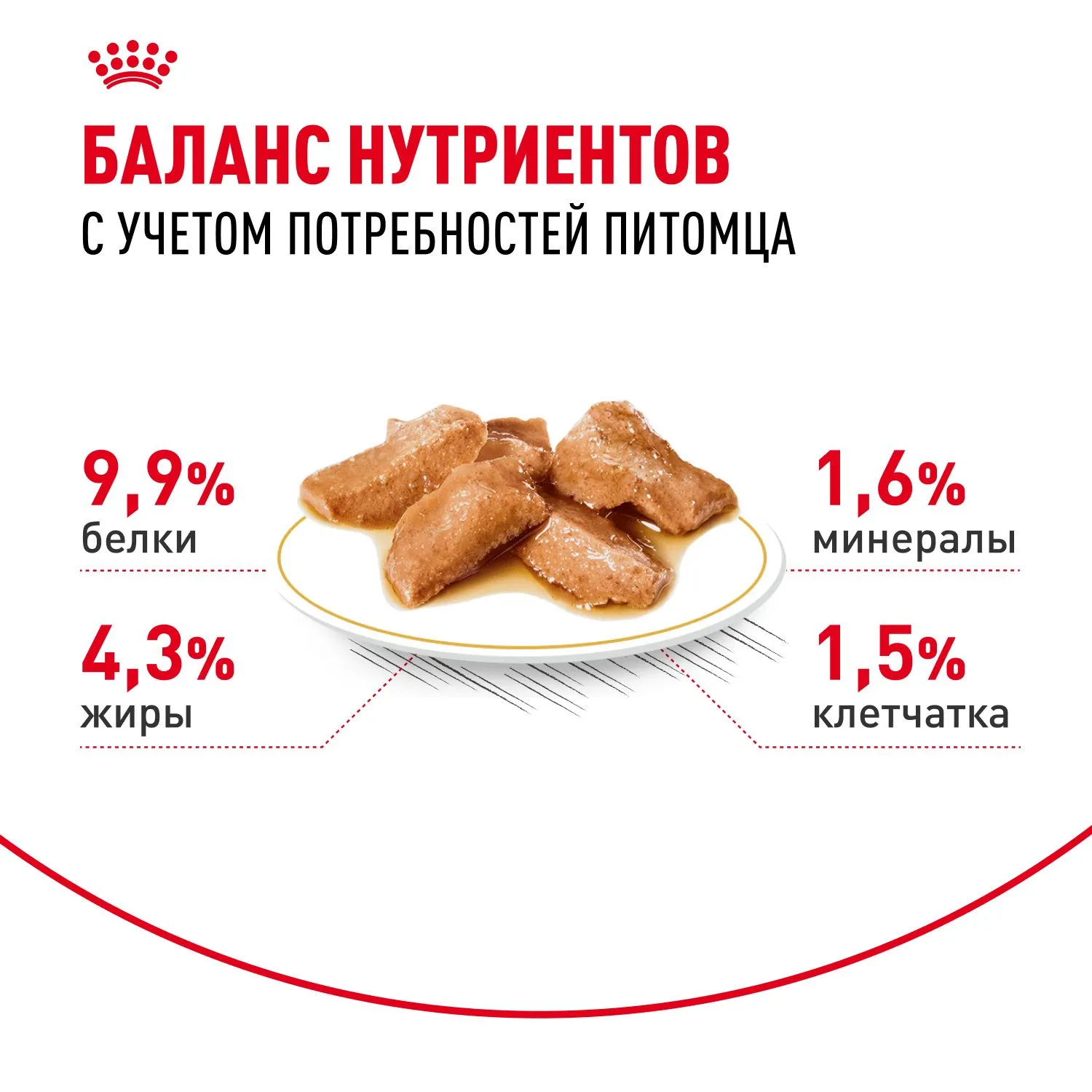 Royal Canin Maine Coon Adult (соус)