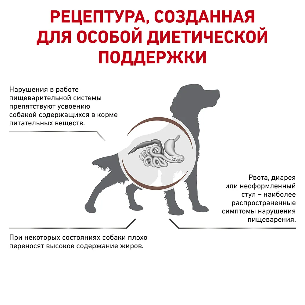 Royal Canin Gastrointestinal Low Fat