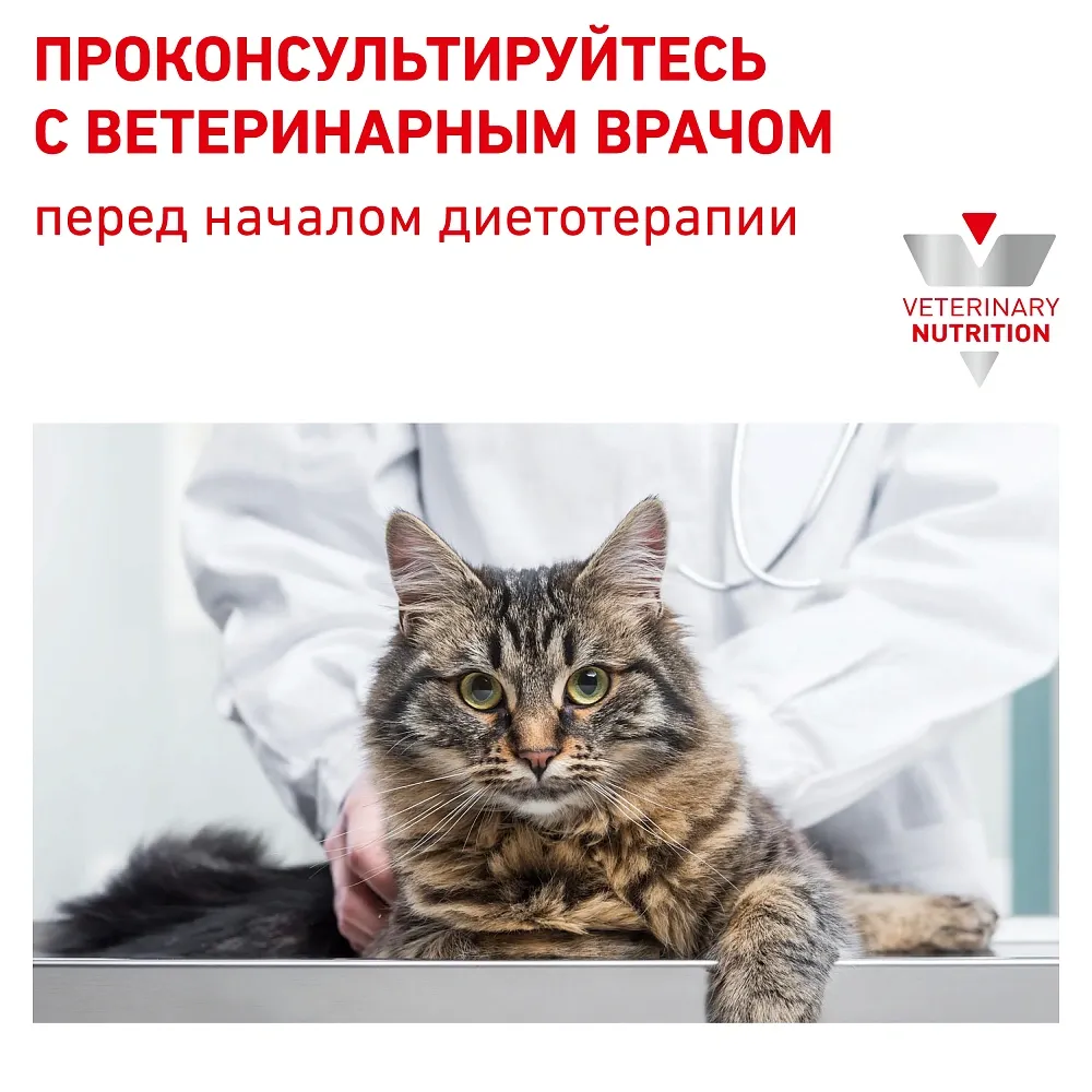 Royal Canin Diabetic Cat