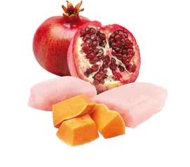 Консервы Farmina N&D Pumpkin Dog Starter Mini (Курица, тыква, гранат)