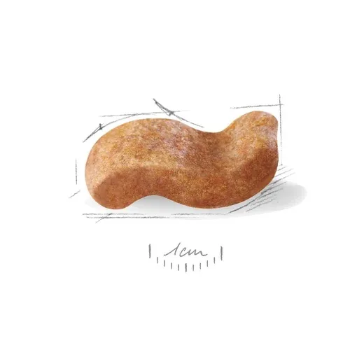 Корм Royal Canin Boxer Adult для собак