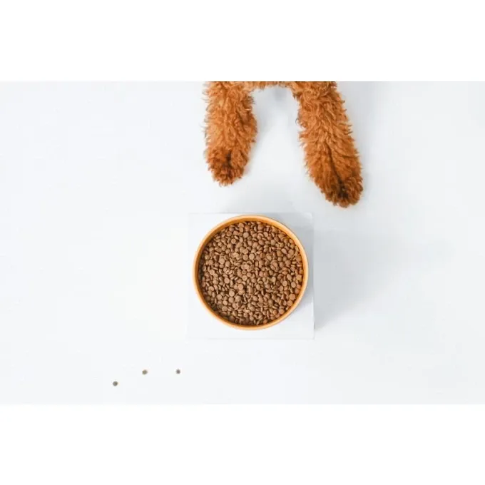 Nature's Protection GF Red Coat Junior Small (Лосось)