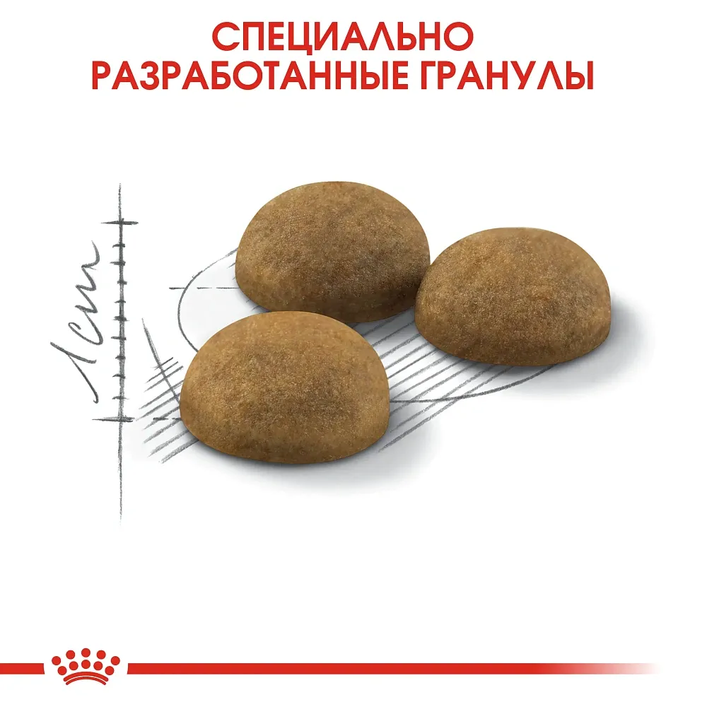 Корм Royal Canin Indoor Long Hair для кошек