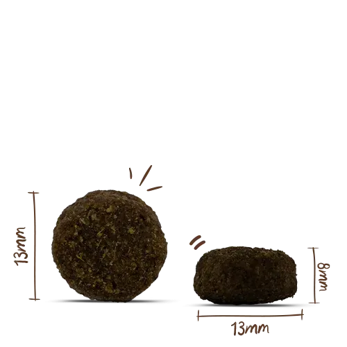 Корм Bosch My Friend+ Junior & Active Dog для собак