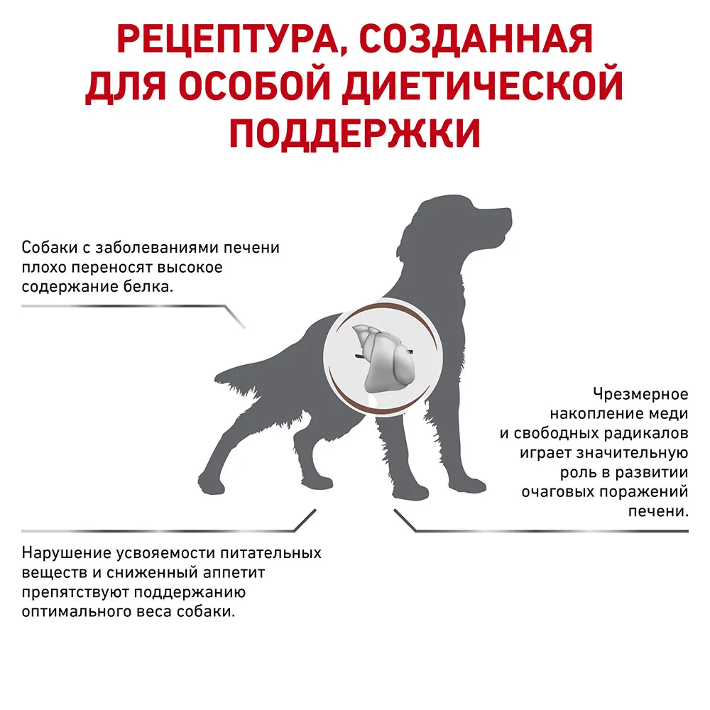 Корм Royal Canin Hepatic Dog