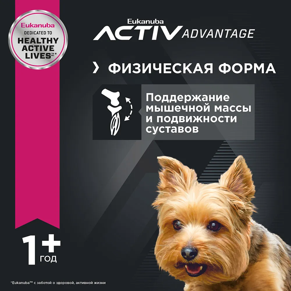 Eukanuba Adult Toy Breed (Птица)