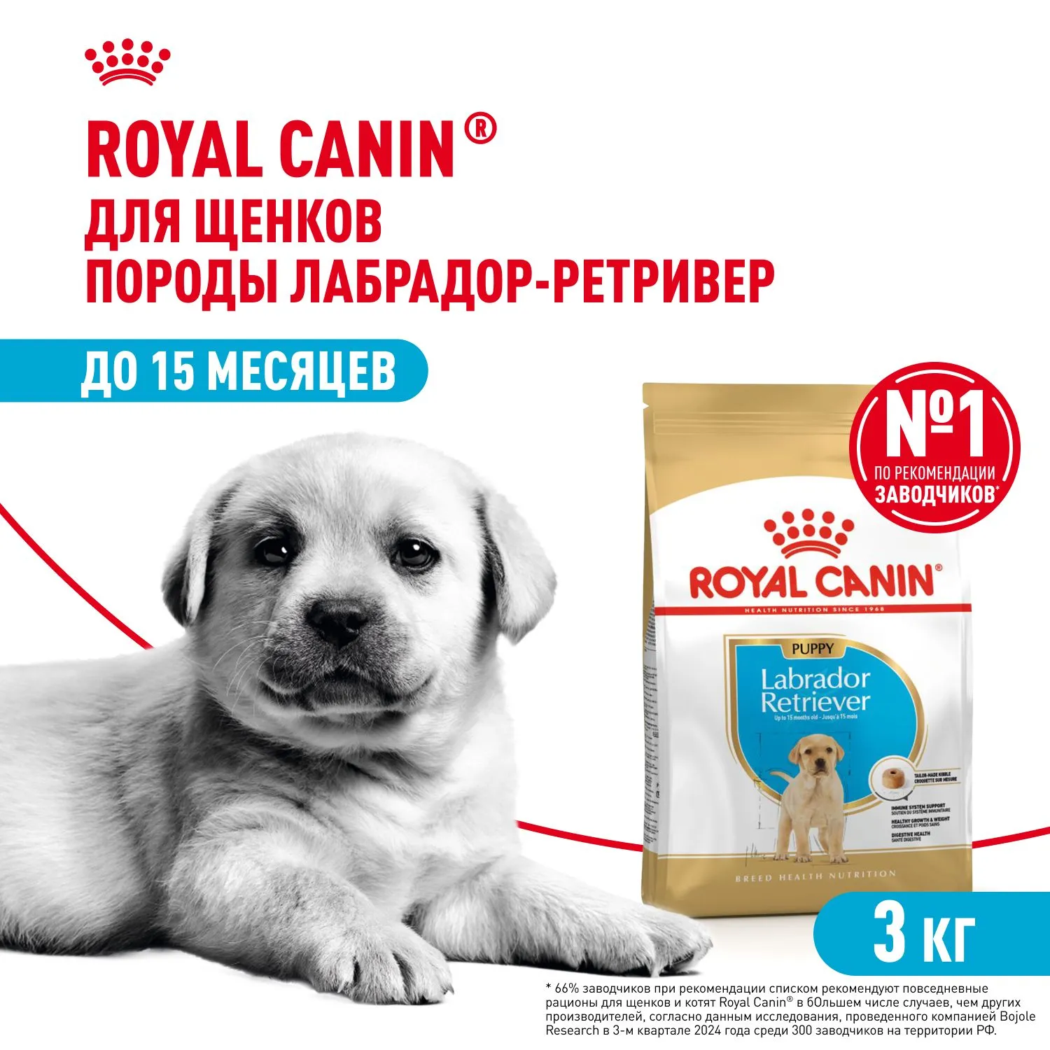 Royal Canin Labrador Retriever Puppy