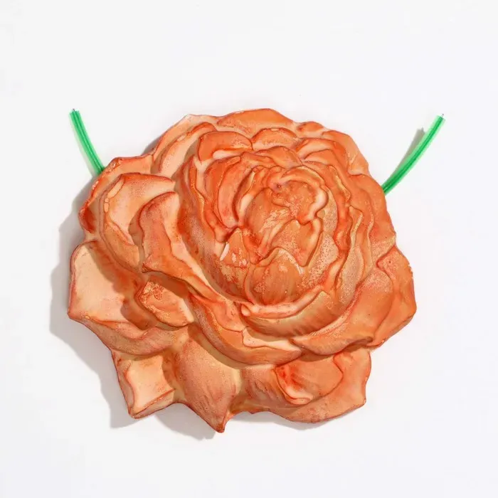 Пижон Минеральный камень для птиц пион