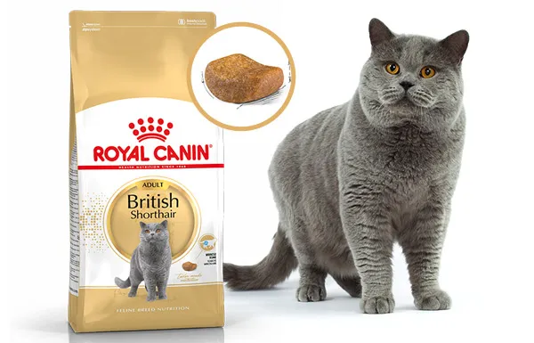 Корм Royal Canin British Shorthair Adult для кошек