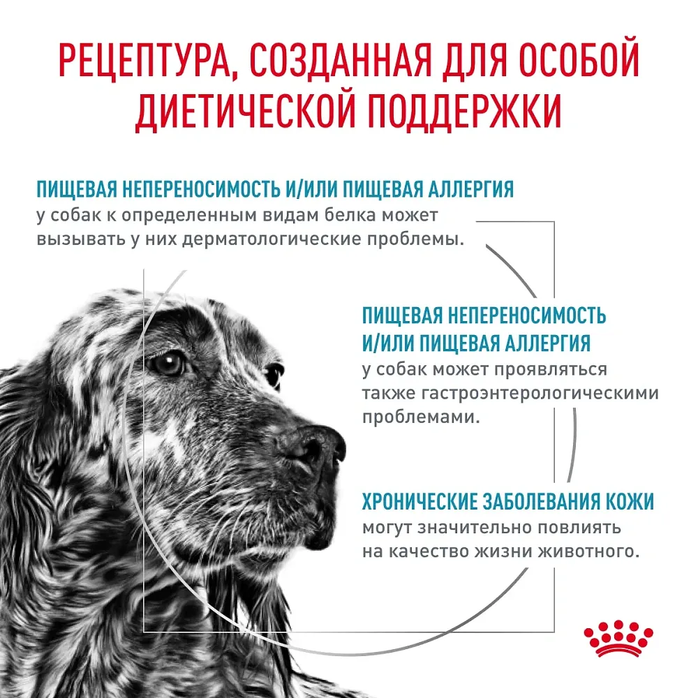 Royal Canin Hypoallergenic Dog