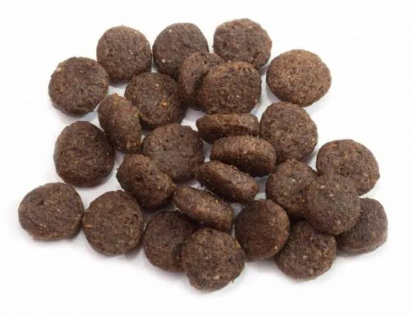 Happy Dog Sensible Ireland