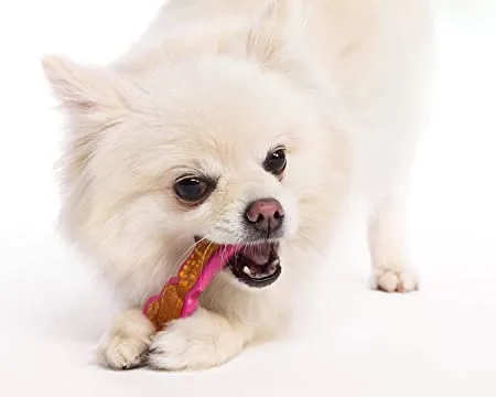 Hartz Игрушка-лакомство для собак Дентал Дуо