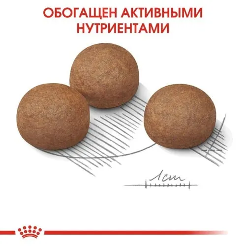 Корм Royal Canin Maxi Digestive Care для собак