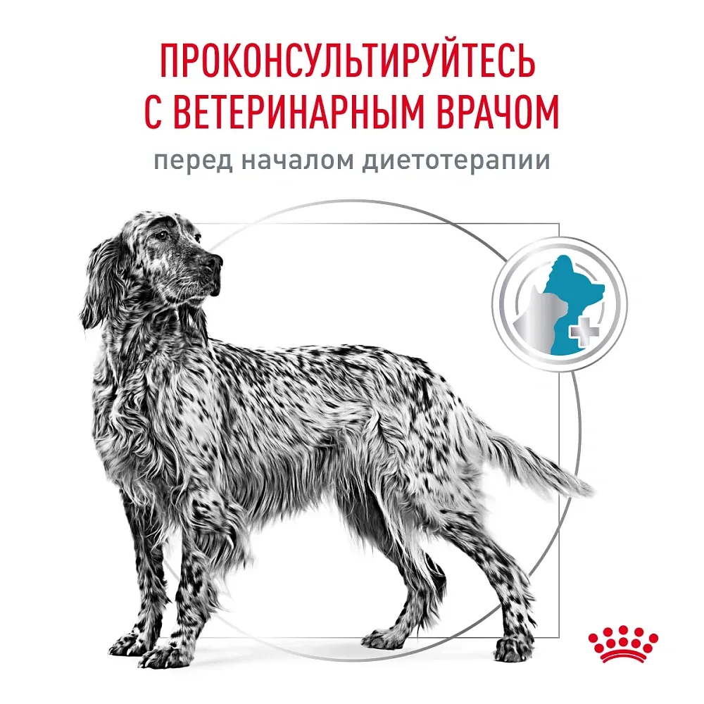 Royal Canin Hypoallergenic Dog