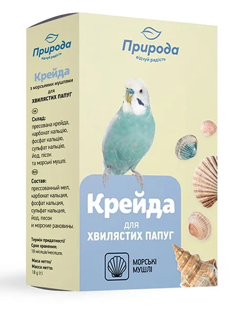 Природа Мелок с морскими ракушками Крейда