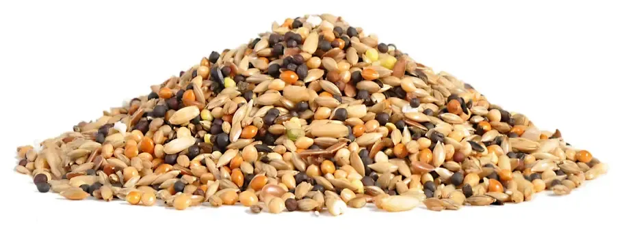 RIO Корм для канареек