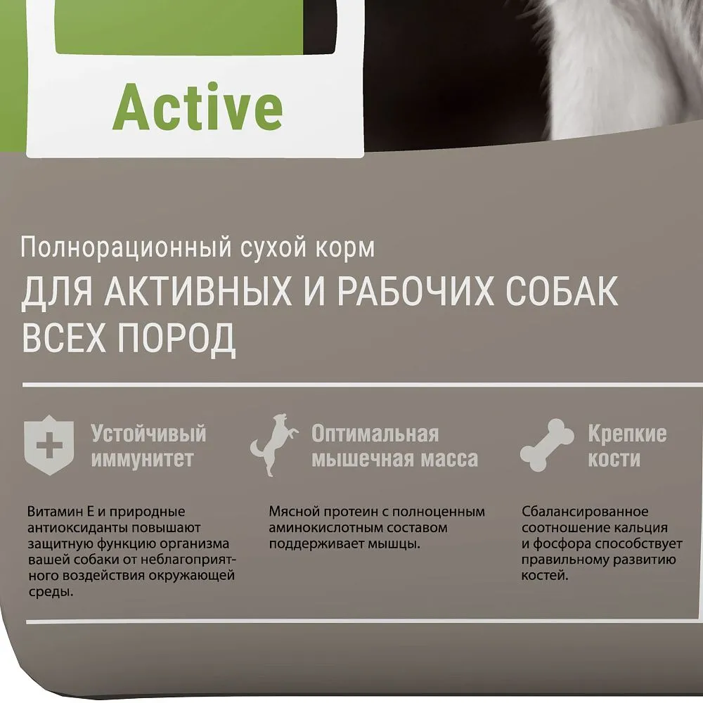Darsi Active для собак всех пород (Телятина)