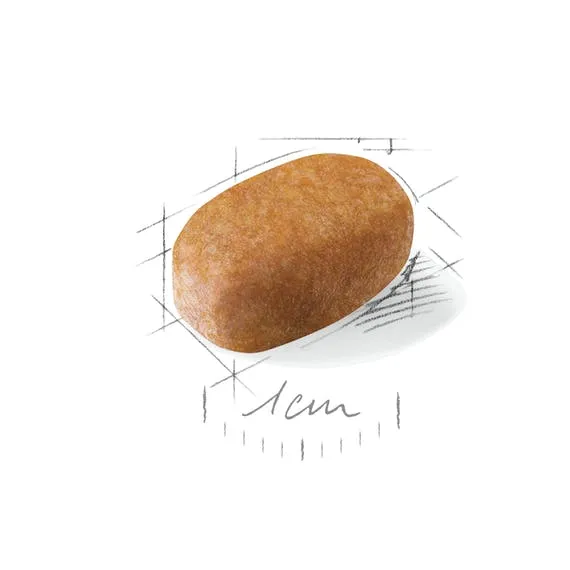 Корм Royal Canin Maltese Adult для собак