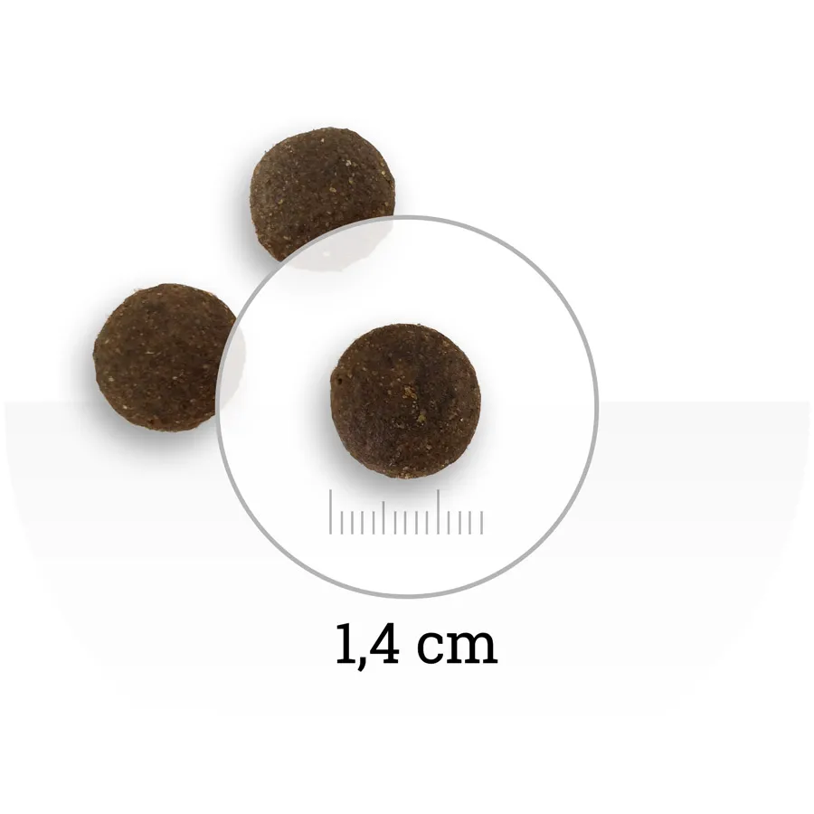 Natura Wild Ontario Wildland (Ягненок, свинина)